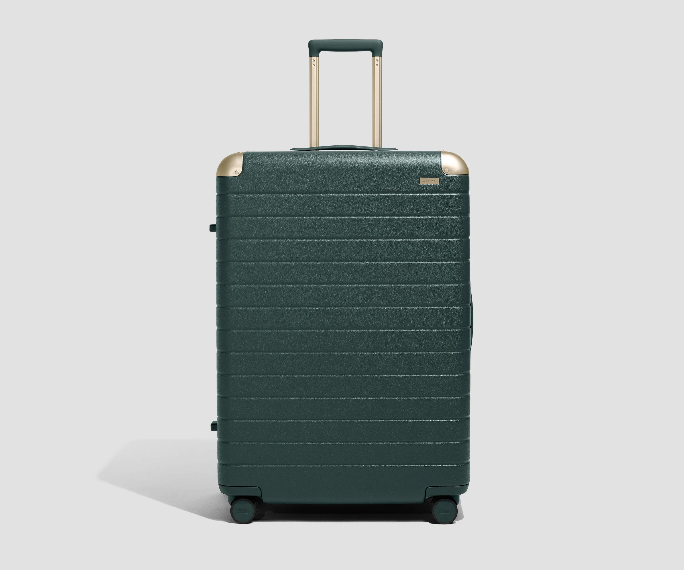 The Aluminum Edge Large in Ivy Green - Image 2