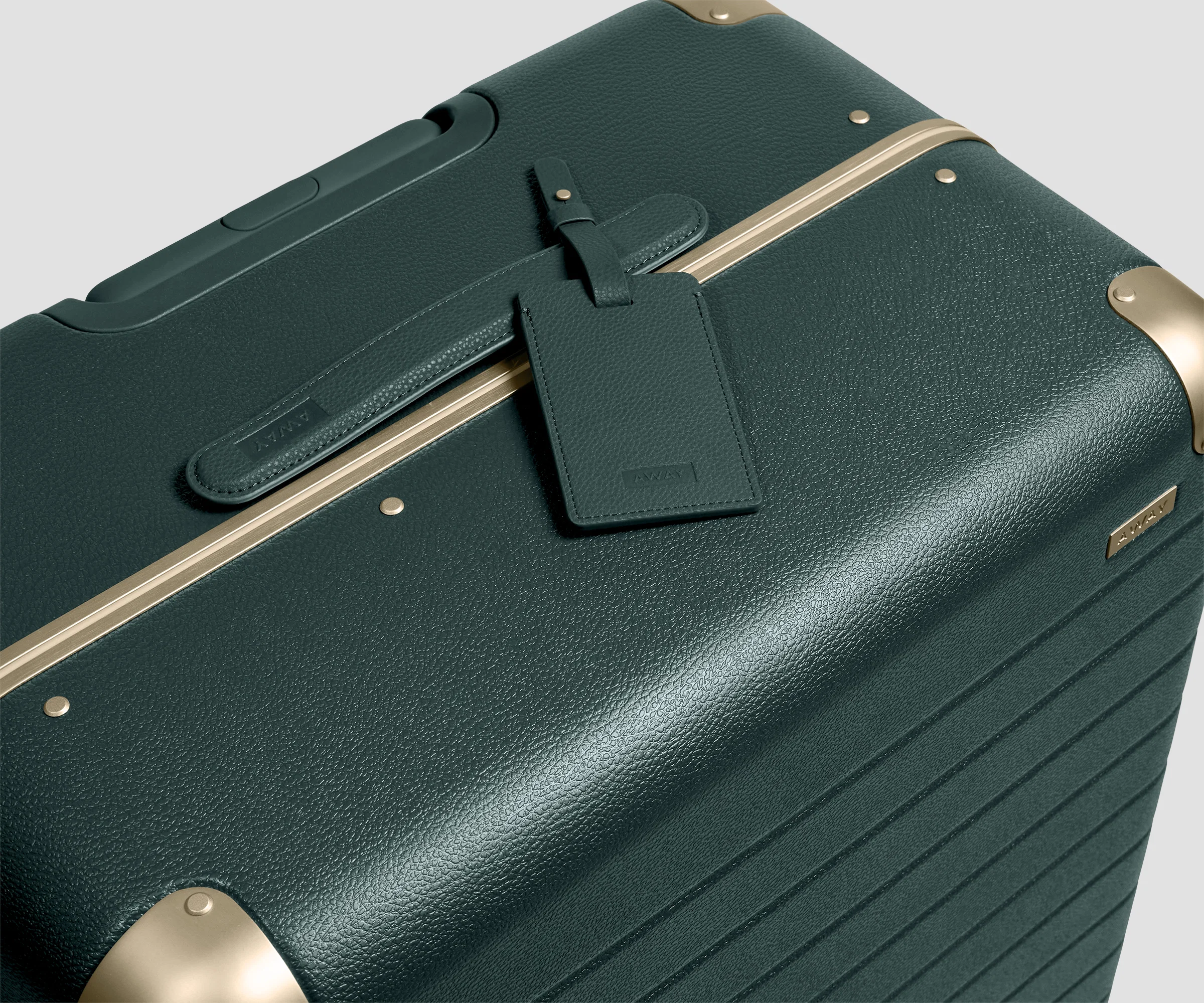 The Aluminum Edge Medium in Ivy Green - Image 8