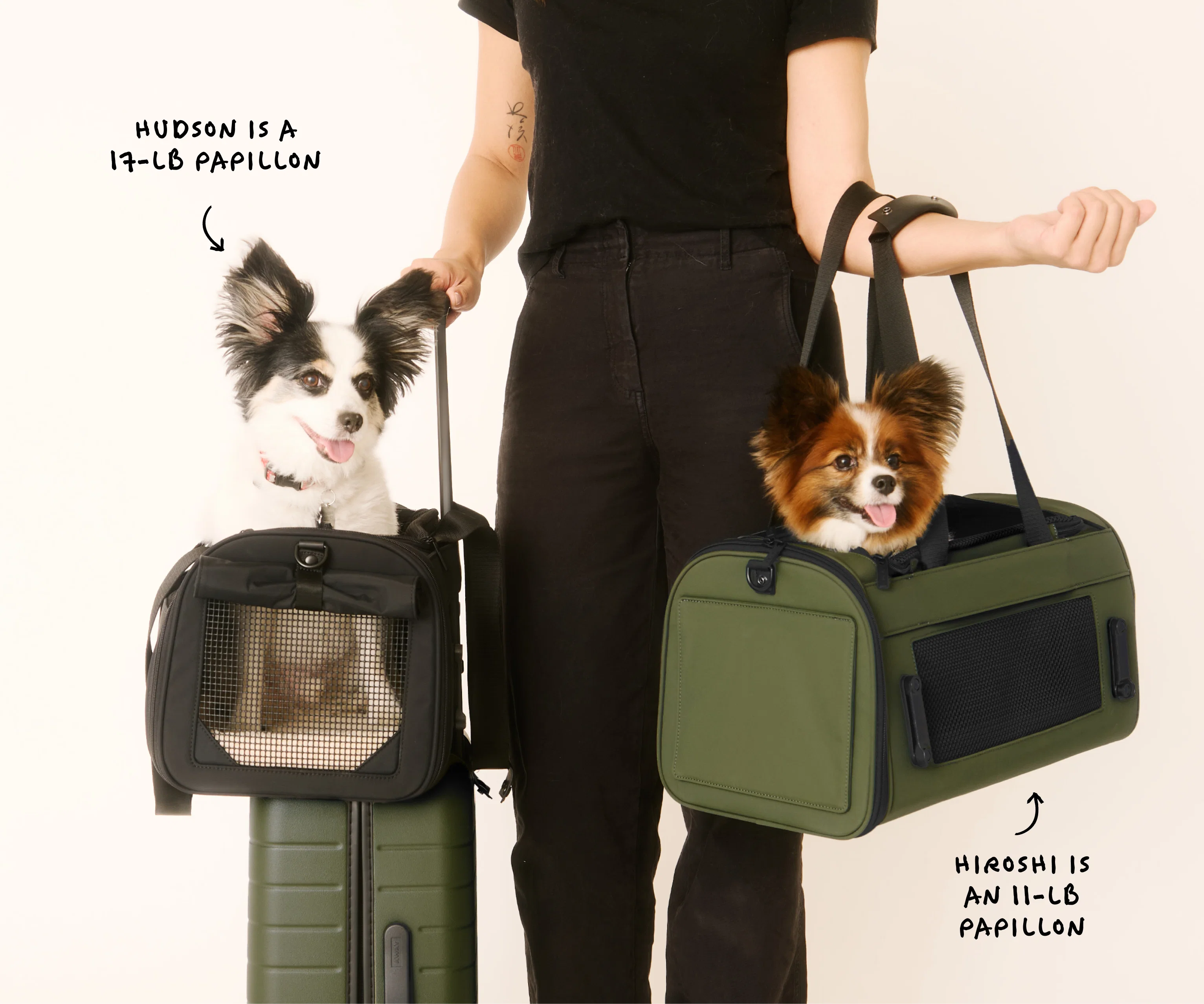 The Pet Carrier in Olive Green - Image 12